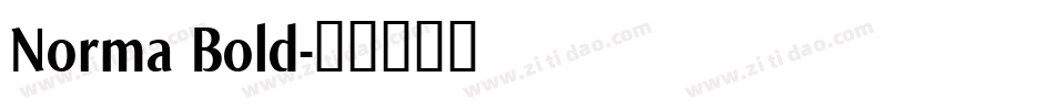 Norma Bold字体转换